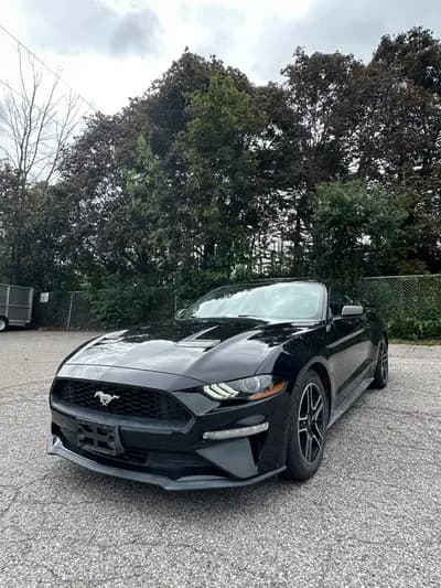 2020 Ford Mustang Ecoboost in Black